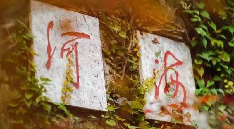 河海大学2020年排名_2020江苏省高校毕业生质量排名:43所大学上榜!河海大(2)