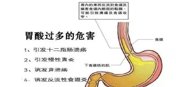 2f5eb70bbce44cf68c738d3031720425.jpeg