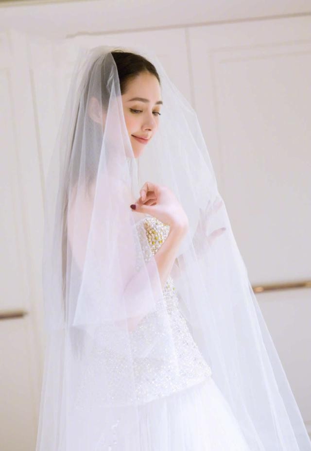 最漂亮婚纱_史上最漂亮婚纱图片(3)