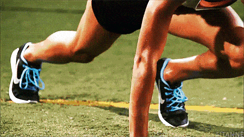 427a885116f641ba9ffd9152318ad6ed.gif