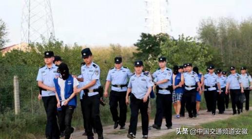 肥东警方捣毁一特大流动赌场 7人被刑拘