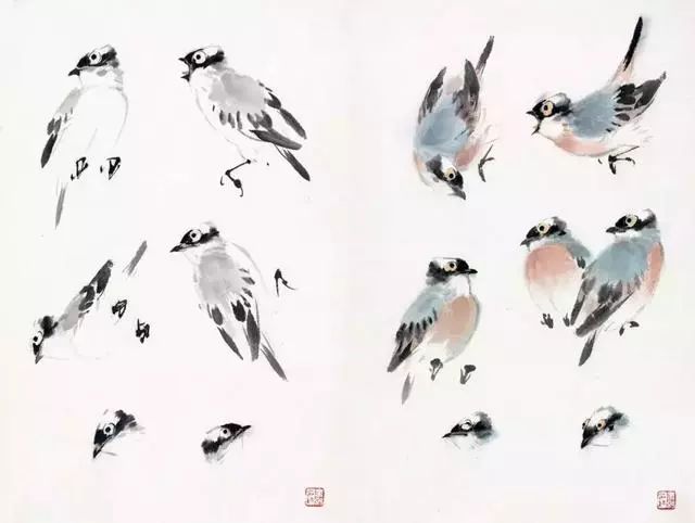 国画大师萧朗在教画时的画稿(禽鸟,草虫) 太经典了果断收藏