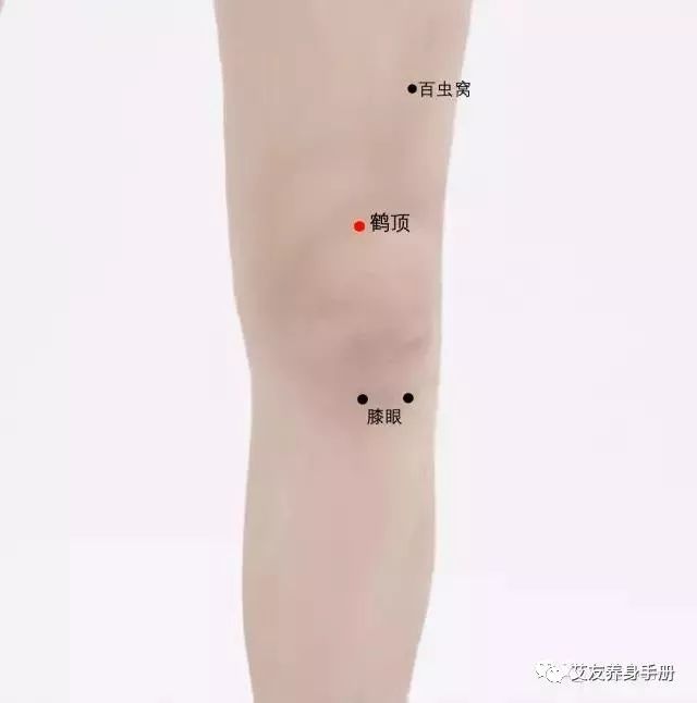 艾健康膝盖是个中转站疏通膝盖经络的好处