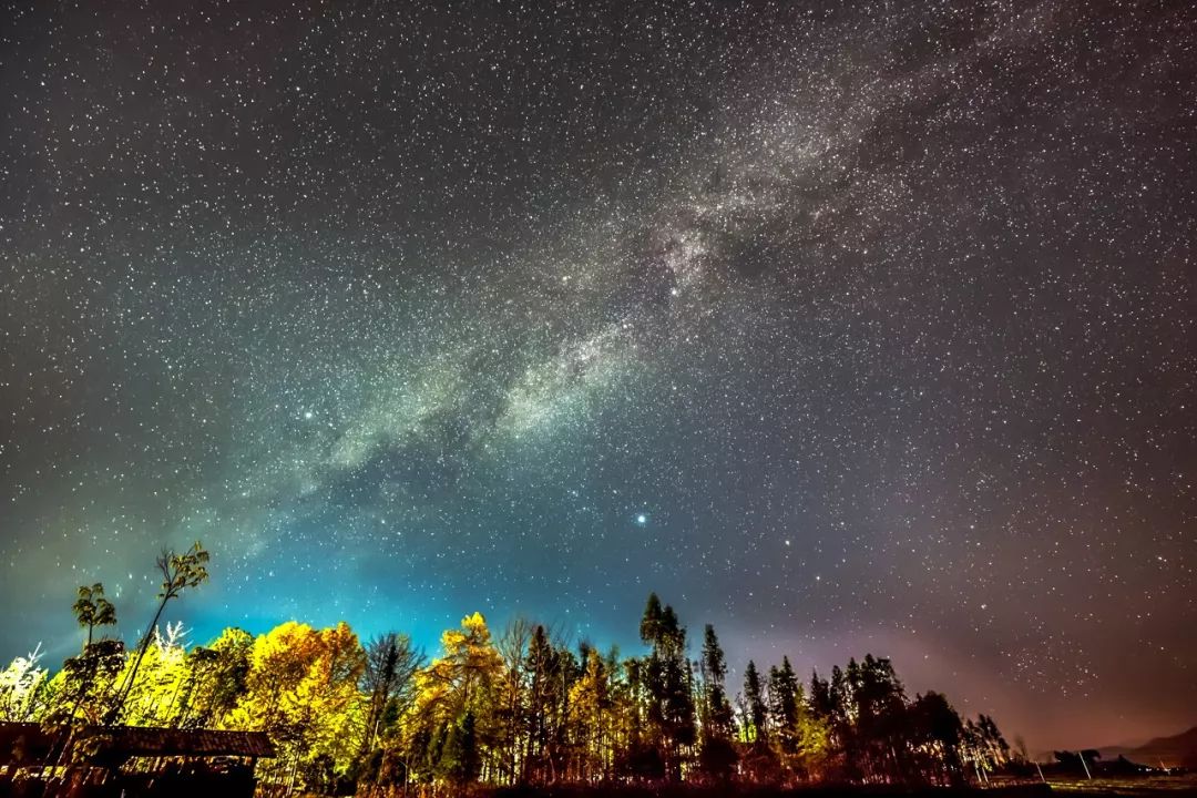 牛驴友 在银杏村,白天可以看金灿灿的银杏,晚上可以看灿若星辰的星空