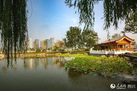 北京通州张家湾公园 656552122d6e484b95ef5a361dc51cb7.jpeg