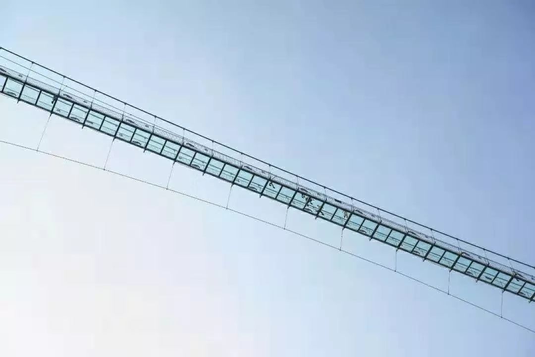 dzy-426中间继电器结构及接线图-上海上继科技有限公司