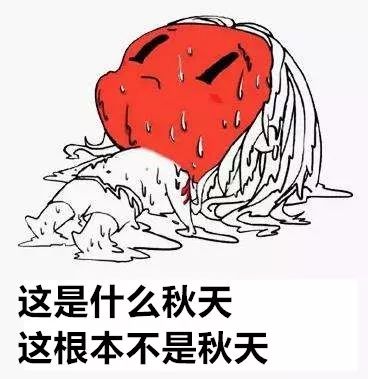 6991d57697fb4ba1bf967cb77028742f.jpeg