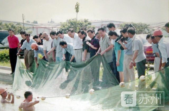 南丰经济总量_经济