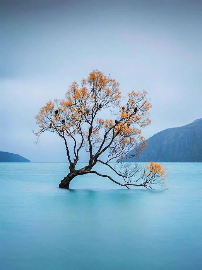 阳江霍姓人口_阳江海陵岛(2)