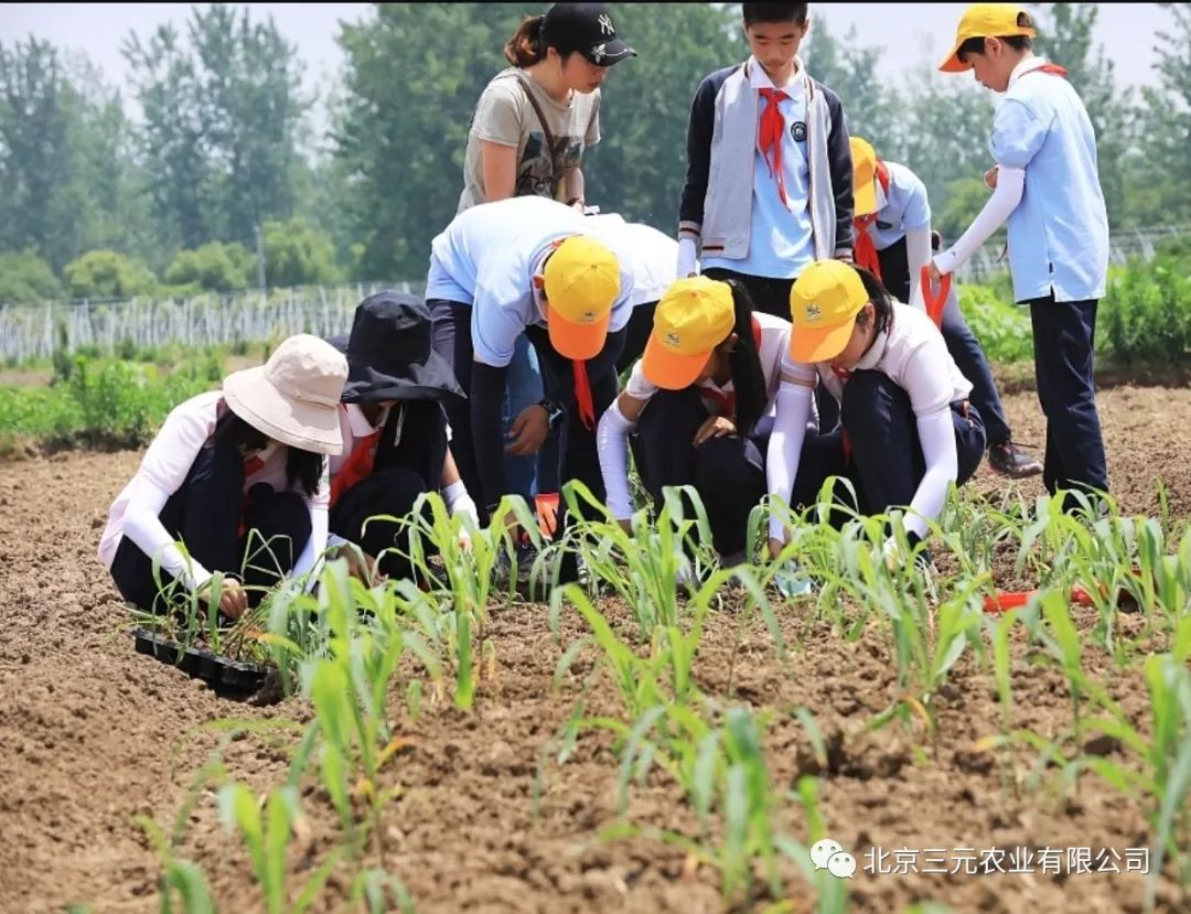 三元农业秋季中小学生社会实践活动介绍