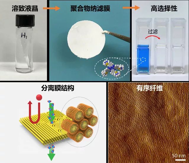 表面活性剂形成的溶致液晶为模板,构筑一种由高度有序自组装纳米纤维