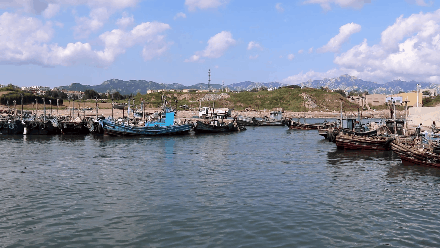 实拍揭秘青岛渔港码头风景美如画海鲜这样打捞