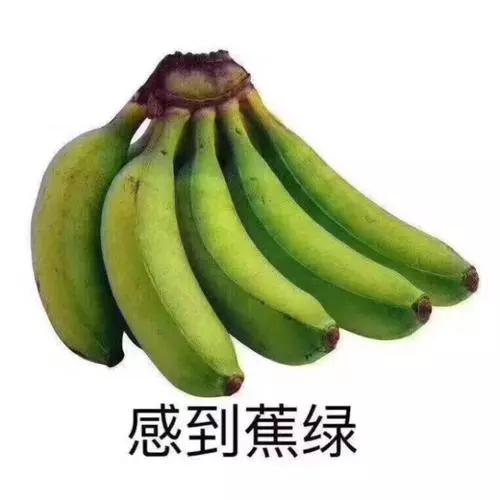 7c7d95c256c045eba73567bd8b877636.JPG