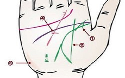 生命线短寿命就短吗?实在是无稽之谈