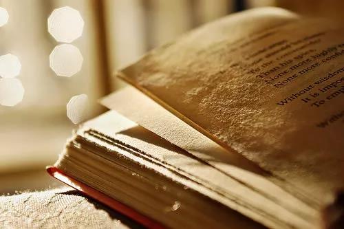 博士|推荐人该如何定义？又该如何选择？