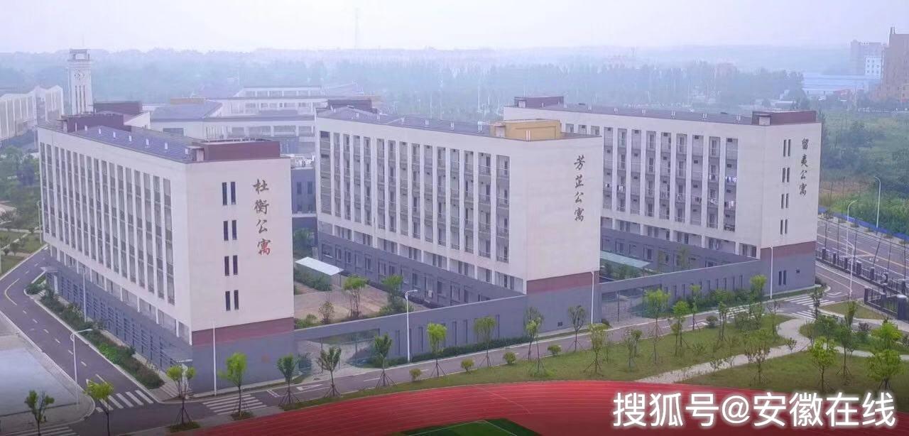 桐城市人口有多少2020(3)