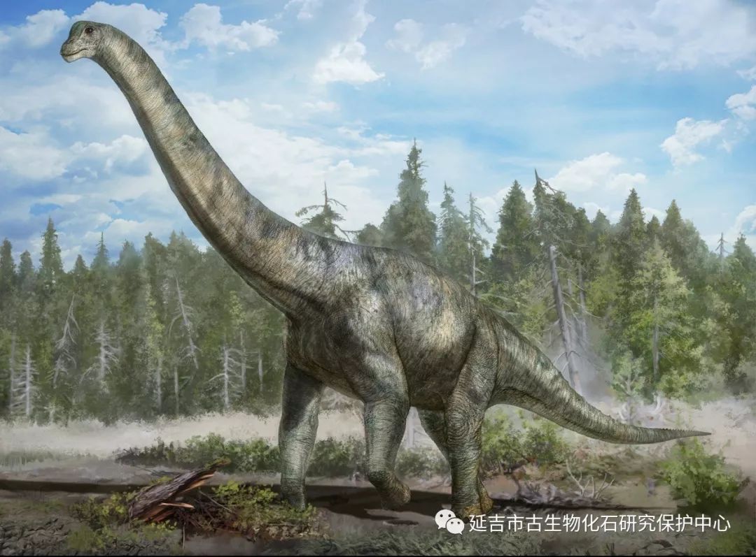 解密:一亿年前,延吉龙山恐龙三大奇妙之处!