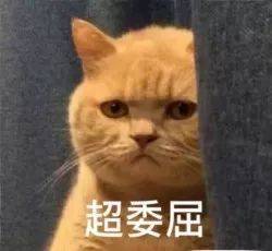 8b307a6b8bbf43ba8109b4eee43ae07d.jpeg