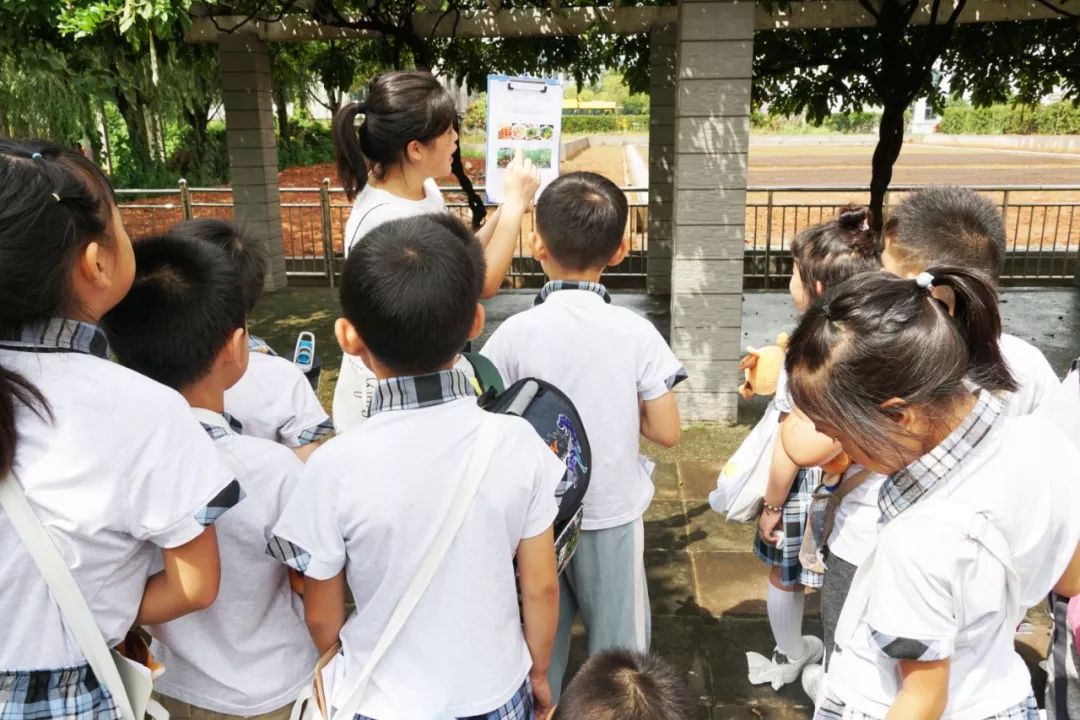 南京新书院悠谷学校新生"尚升行学"活动今日顺利开展