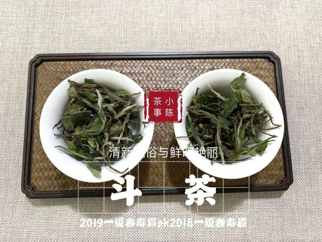 2019春寿眉VS2018春寿眉,来自高山春季白茶
