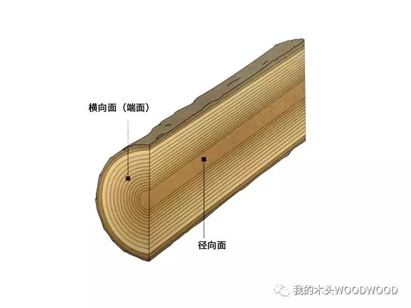 弦切、平切、径切傻傻分不清楚？——木材开料的基础知识 搜狐大视野 搜狐新闻 