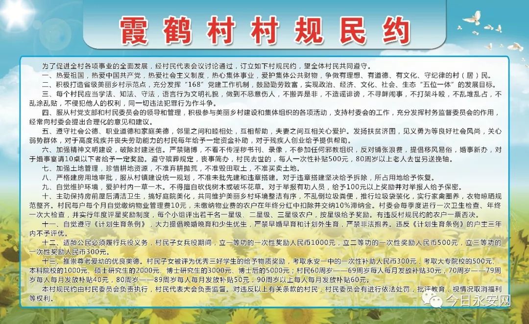 永安市开展十佳村规民约评选网络投票活动谁能c位出道你说了算