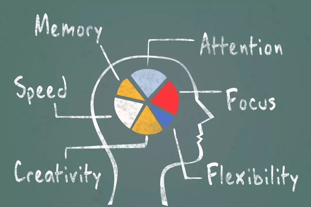 20个你不知道的大脑秘密提高记忆能力