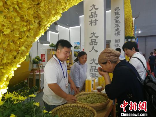 第22届中国农产品加工投洽会驻马店启幕扩大国际合作