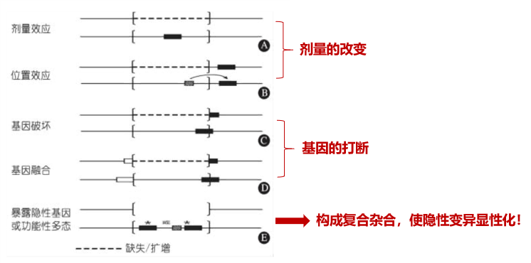 安然护心卡抬人的原理_最全面的传感器工作原理动图,很多人都说没见过