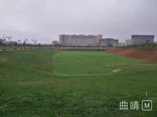 据悉,"幸福公园"是陆良县城首座山体公园,占地面积约120亩.