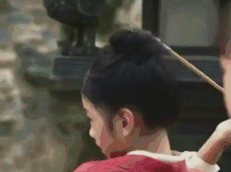 壁纸 动物 狗 狗狗 456_341 gif 动态图 动图