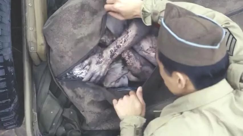 真实事件改编的恐怖剧,成神成渣就在一念之间