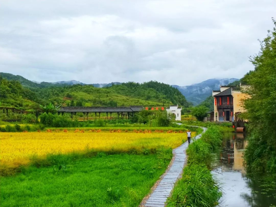 世外田园 秋色如画丨日出唤醒清晨,醉美稻香时分.