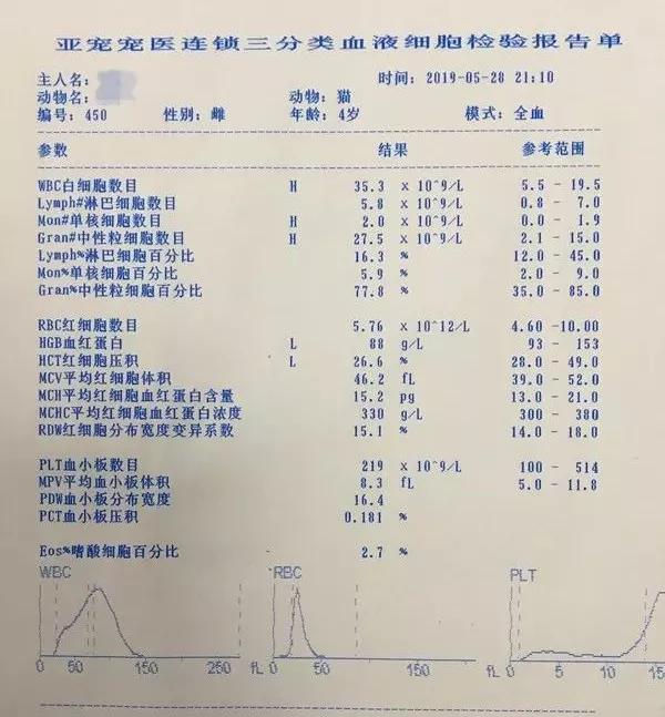 母猫简谱_儿歌简谱