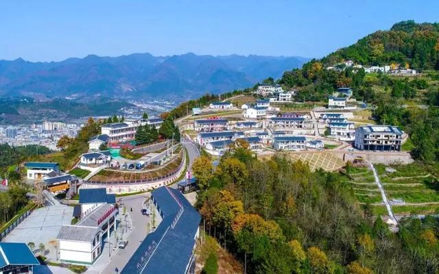 2020年浙江各县市区g_2020年浙江大学学生证