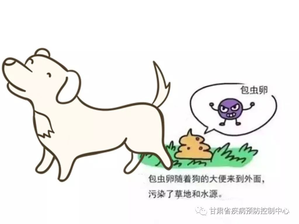 早发现早诊断早治疗包虫病筛查开始啦