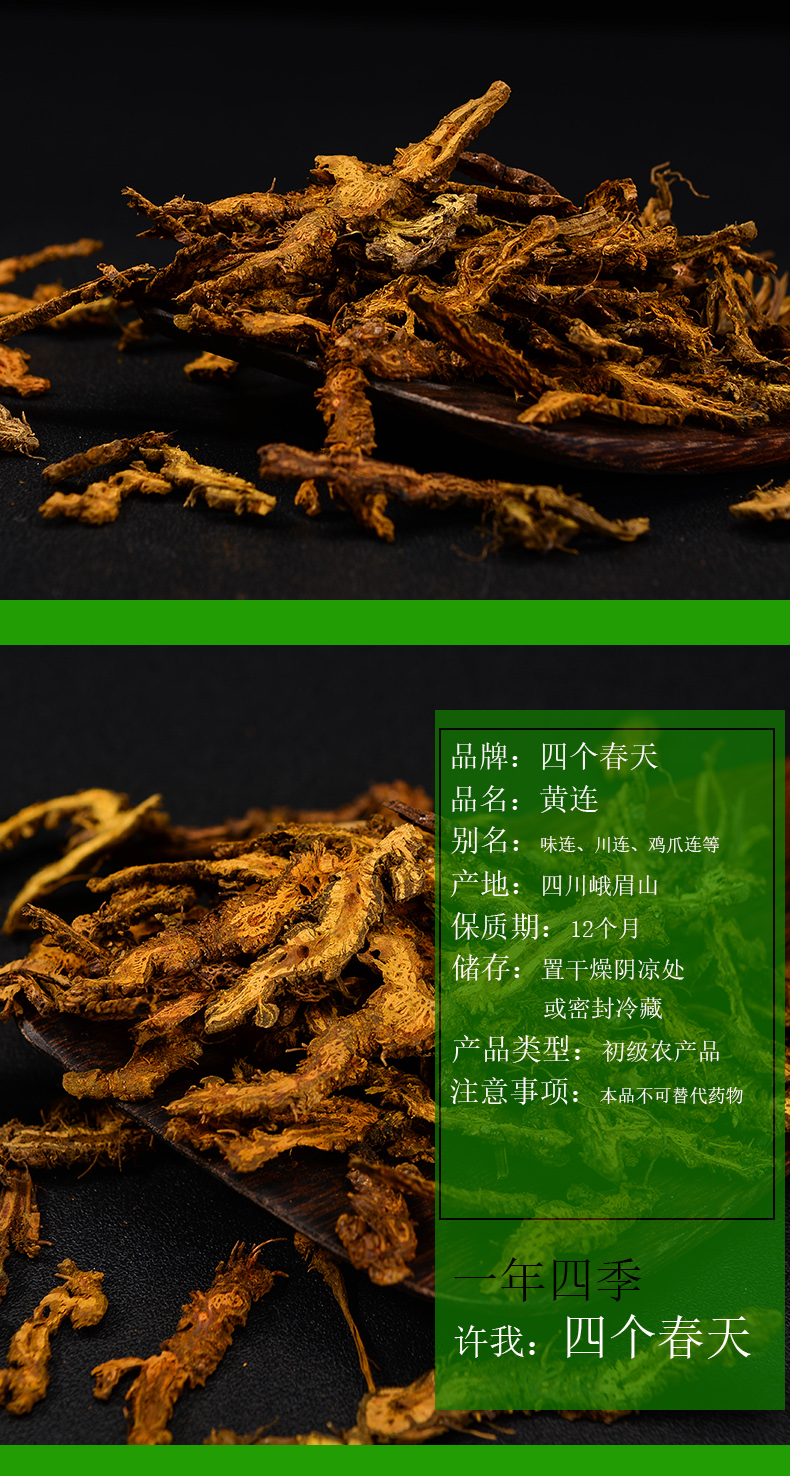 黄连中药材是什么样子产地分布功效价格,四个春天黄连实拍