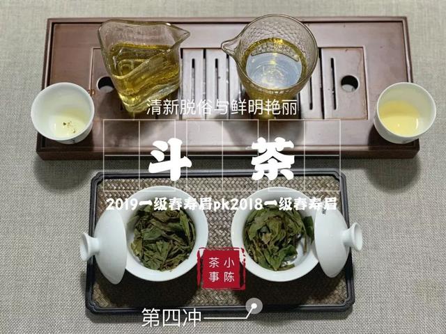 2019春寿眉VS2018春寿眉,来自高山春季白茶