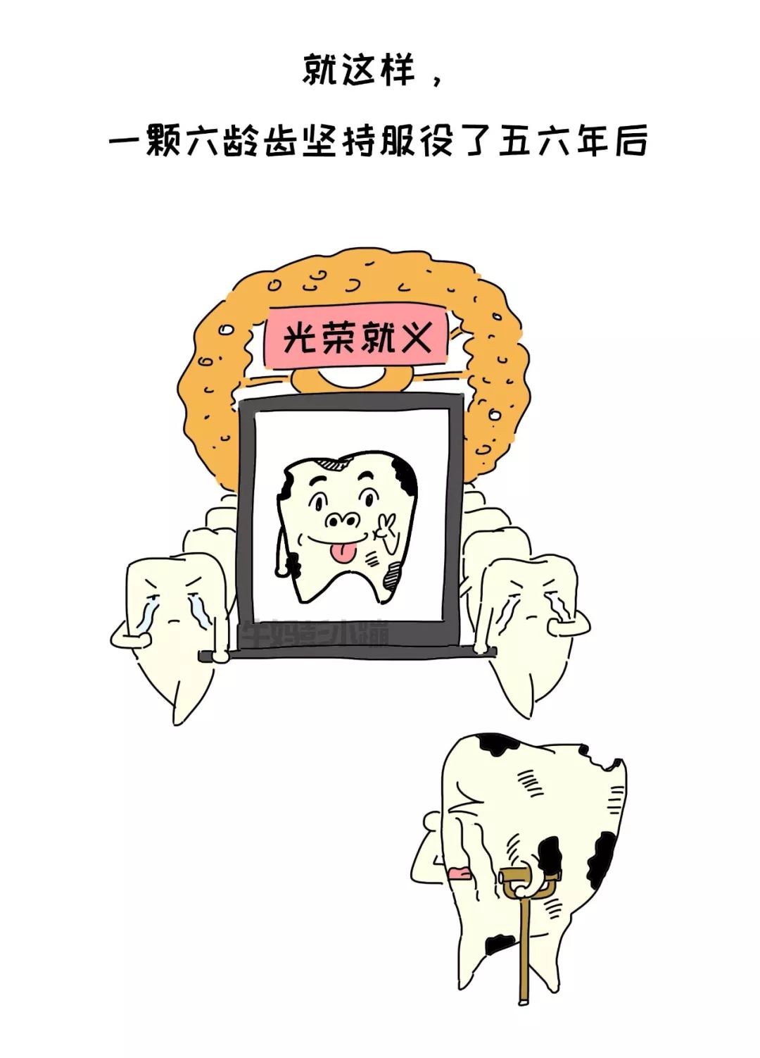                     我的那颗六龄齿啊，说多了都是泪