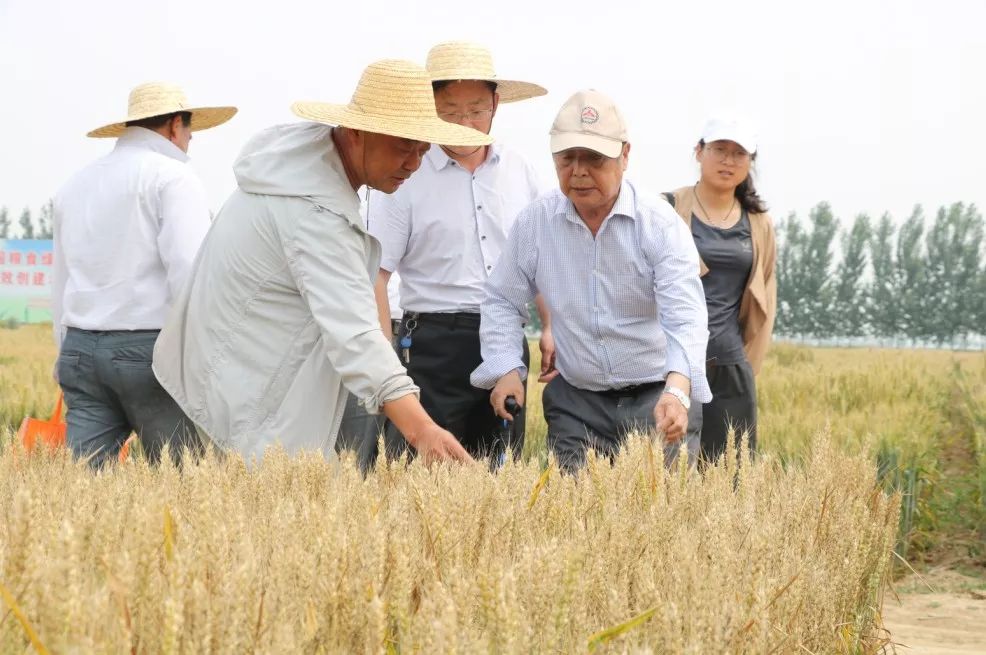 蓼兰镇人口数_蓼兰镇王新田图片