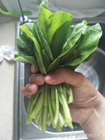 控糖,刷脂,v晚餐有吃得饱的晚餐一:午,食谱与加餐瑜伽入门减腿动作图片图片