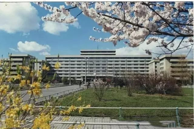 中国单体面积最大的大学,排名前十的到底是什