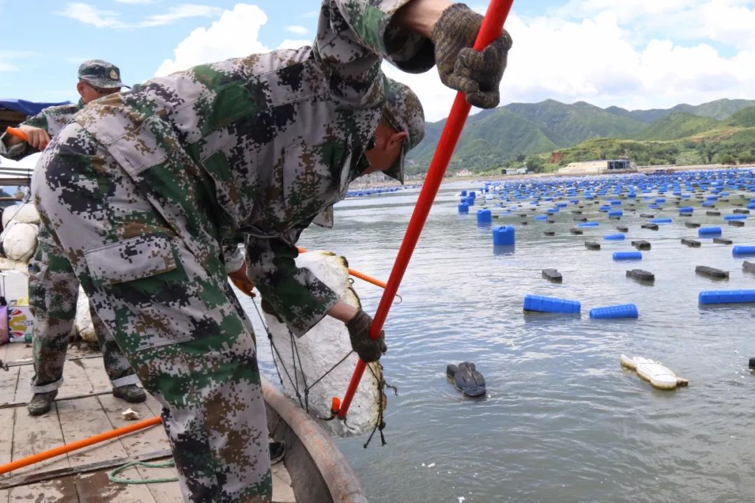 沙江镇有多少人口_北流隆盛镇有多少人口