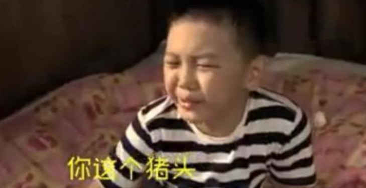 44岁王艳近照，嫁豪门大27岁老公忍气吞声，亲生儿子唤她猪头