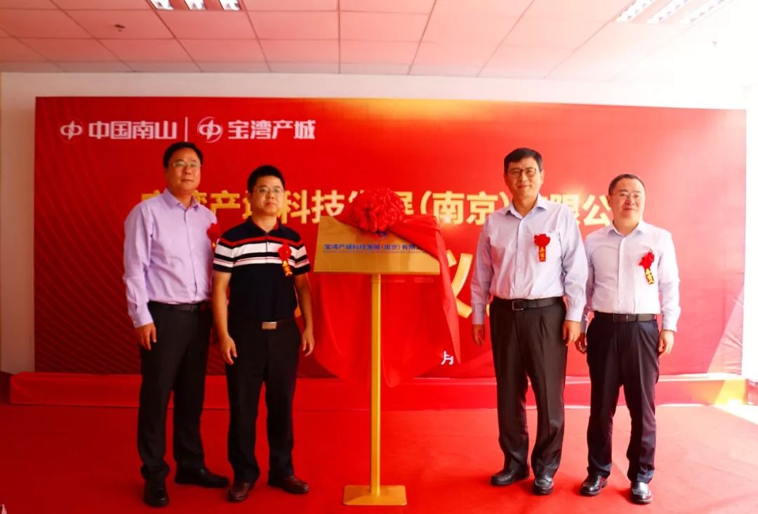 集团副总经理兼财务总监,宝湾产城发展(深圳)有限公司董事长张建国