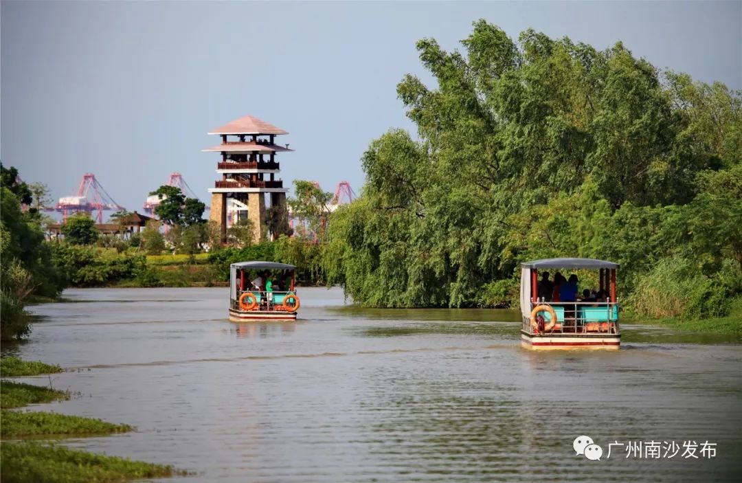 羊城新八景之湿地唱晚