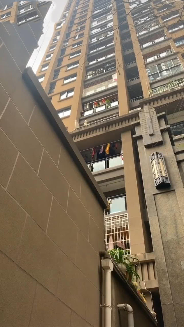 头顶上传来狼叫声,女子感到不对,抬头一看后笑