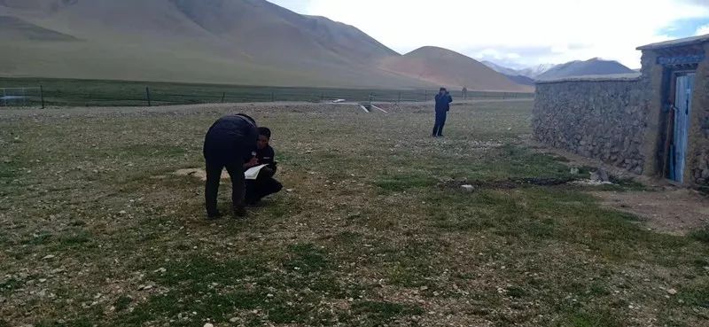 仲巴县人口_仲巴县地图