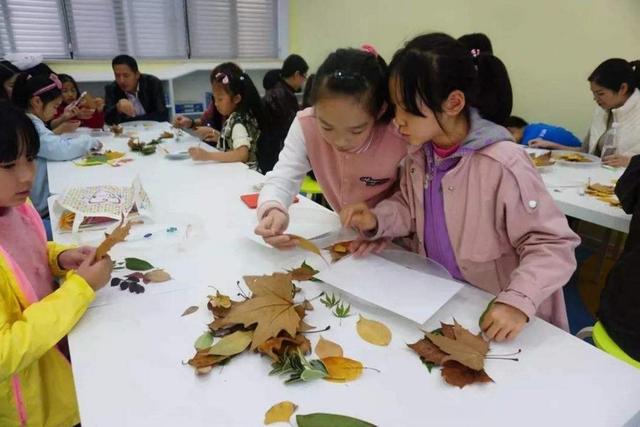 秋收大作战刨花生/挖红薯2019年秋天我们来点不一样的