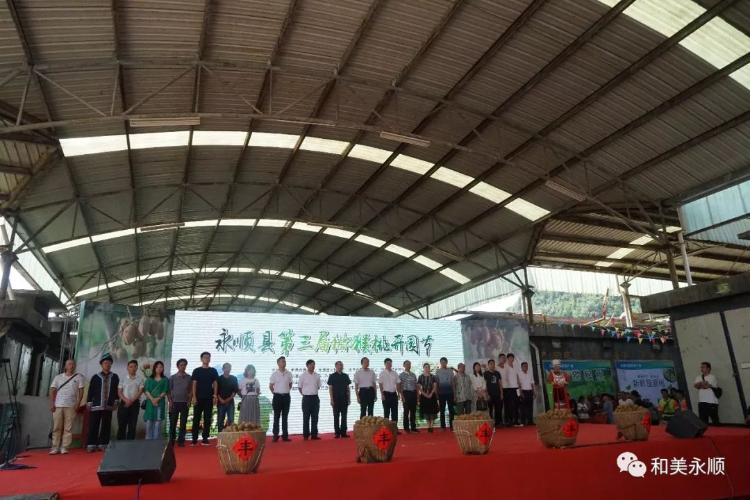 托起丰收的喜悦永顺县第三届猕猴桃开园节开园